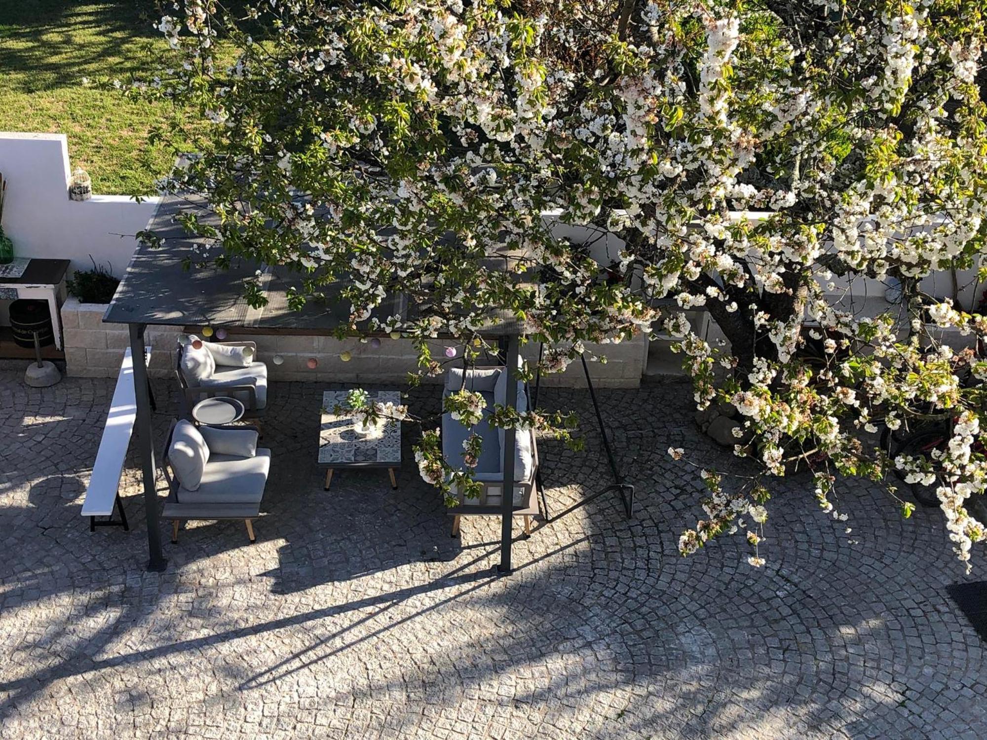 Casa Da Avo Olinda Villa Góis Екстериор снимка