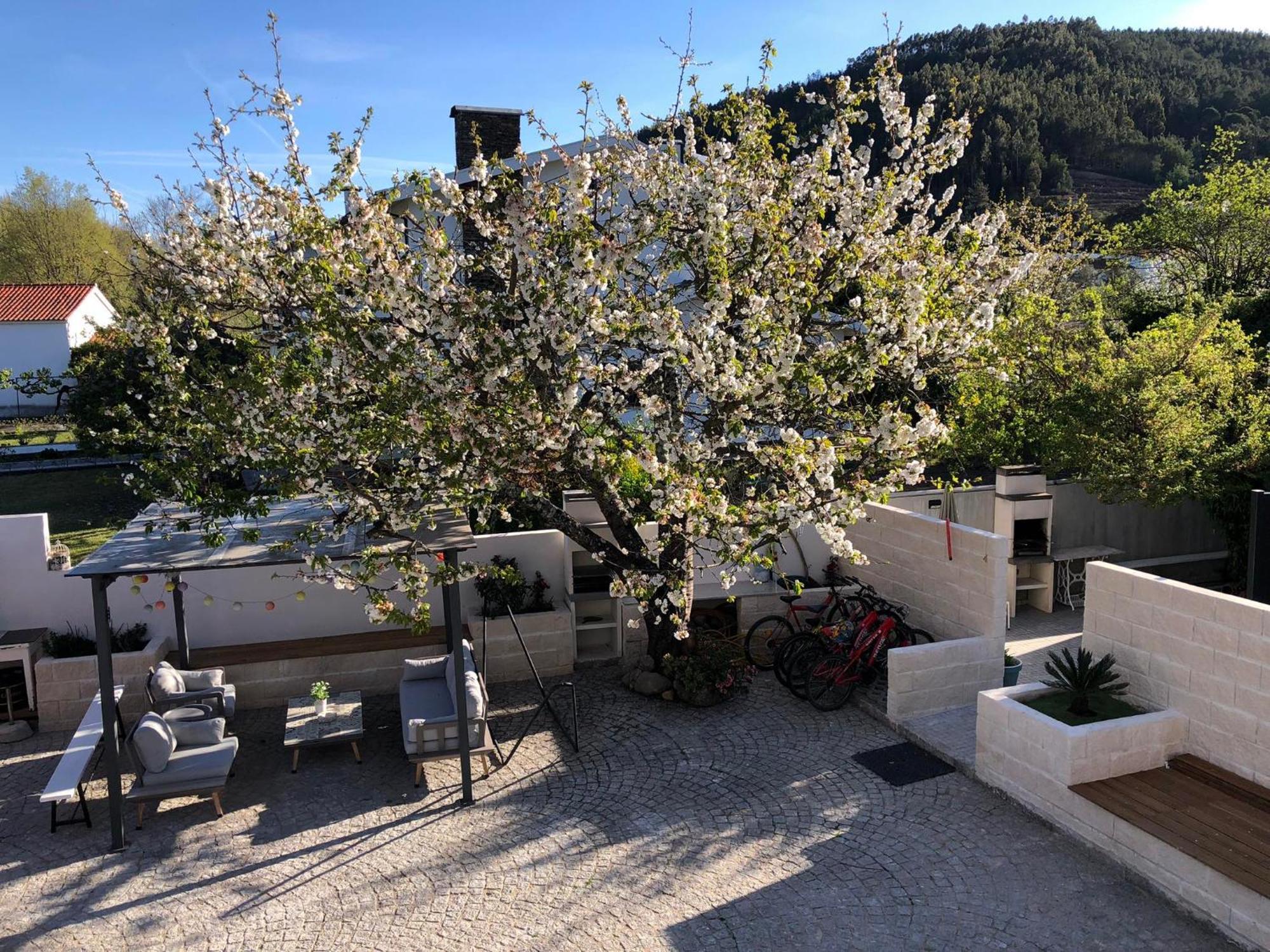 Casa Da Avo Olinda Villa Góis Екстериор снимка